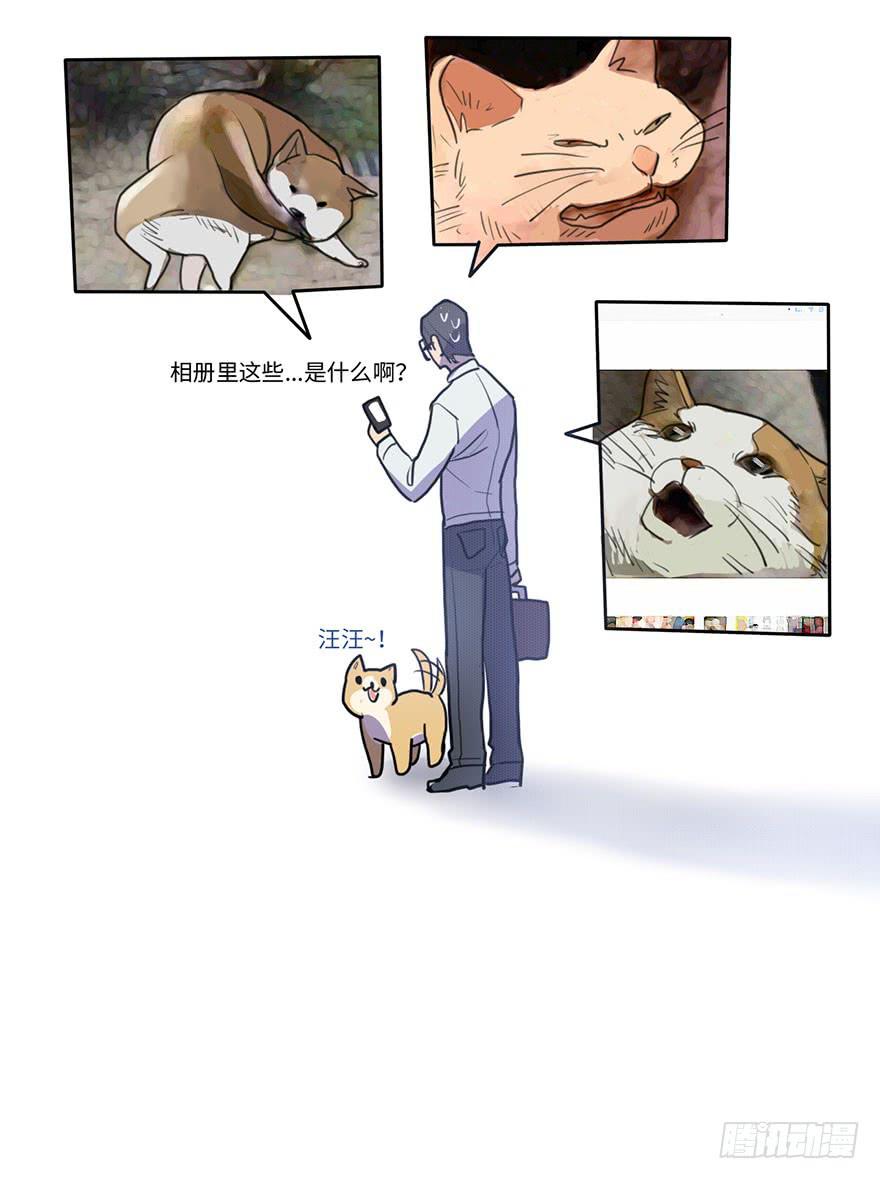 《美少年的饲养法则》突如其来的关心 第18页