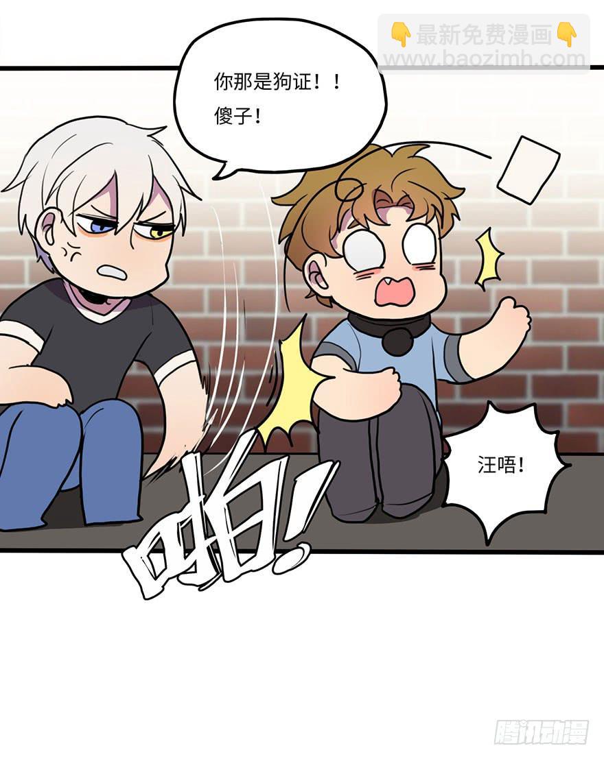 《美少年的饲养法则》突如其来的关心 第35页