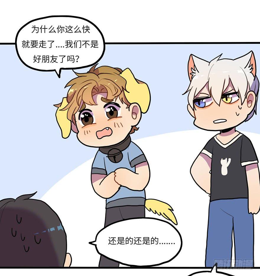 《美少年的饲养法则》突如其来的关心 第3页