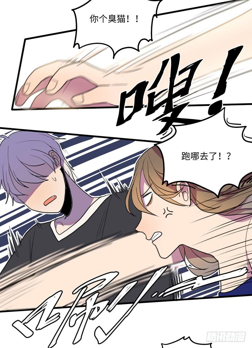 《美少年的饲养法则》我家猫生病了究竟该去哪个医院啊？ 第23页