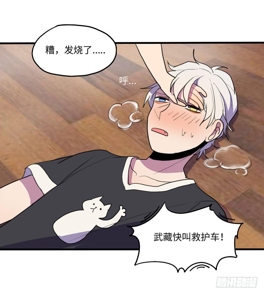 《美少年的饲养法则》我家猫生病了究竟该去哪个医院啊？ 第27页