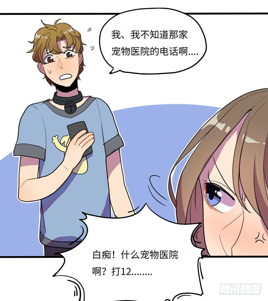 《美少年的饲养法则》我家猫生病了究竟该去哪个医院啊？ 第28页