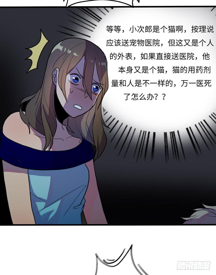 《美少年的饲养法则》我家猫生病了究竟该去哪个医院啊？ 第29页