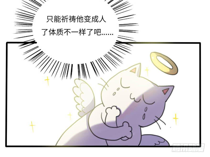 《美少年的饲养法则》我说了，是你不信啊 第15页