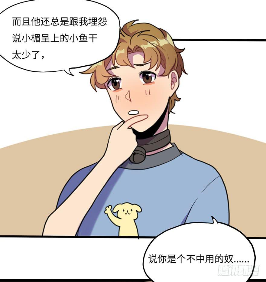 《美少年的饲养法则》关于小次郎的大猜想 第16页