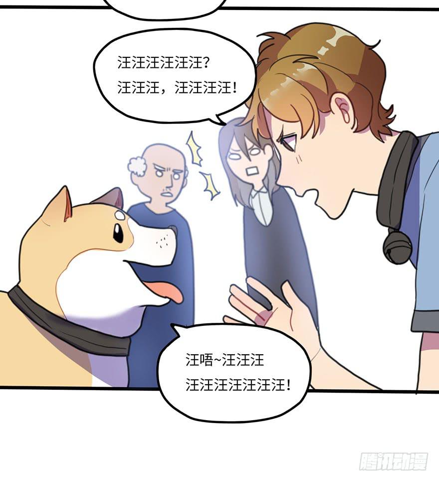 《美少年的饲养法则》关于小次郎的大猜想 第26页