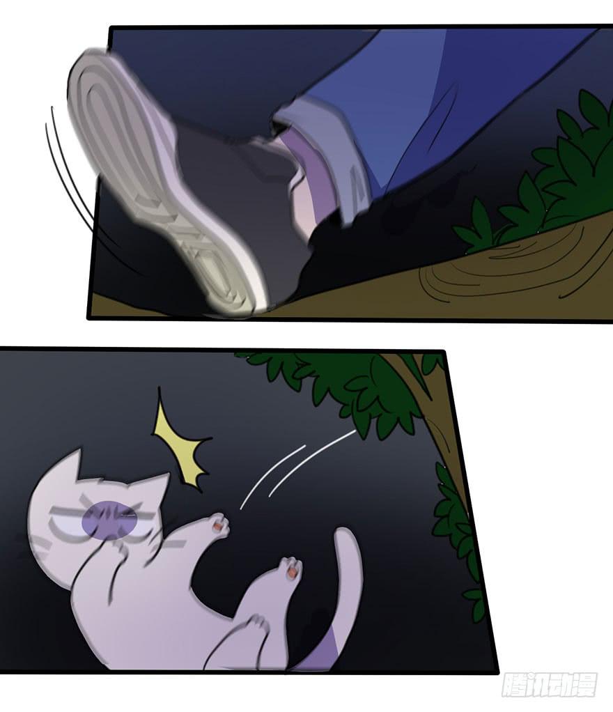 《美少年的饲养法则》关于小次郎的大猜想 第37页