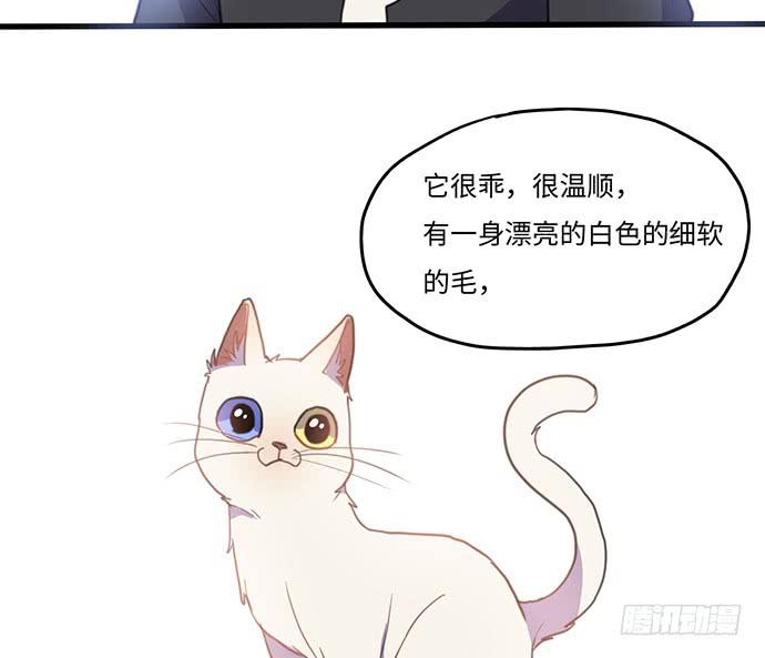 《美少年的饲养法则》突然的消息 第21页