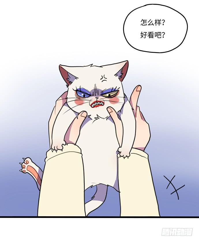 《美少年的饲养法则》再次见面 第18页