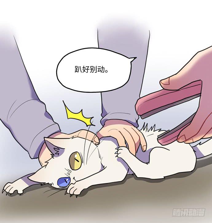 《美少年的饲养法则》再次见面 第30页