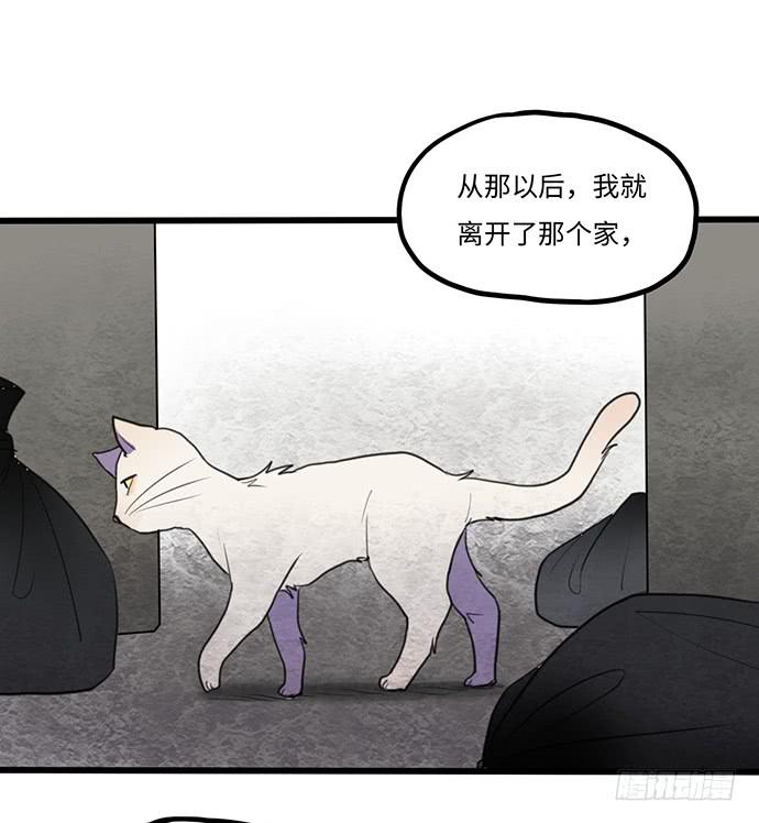 《美少年的饲养法则》再次见面 第45页
