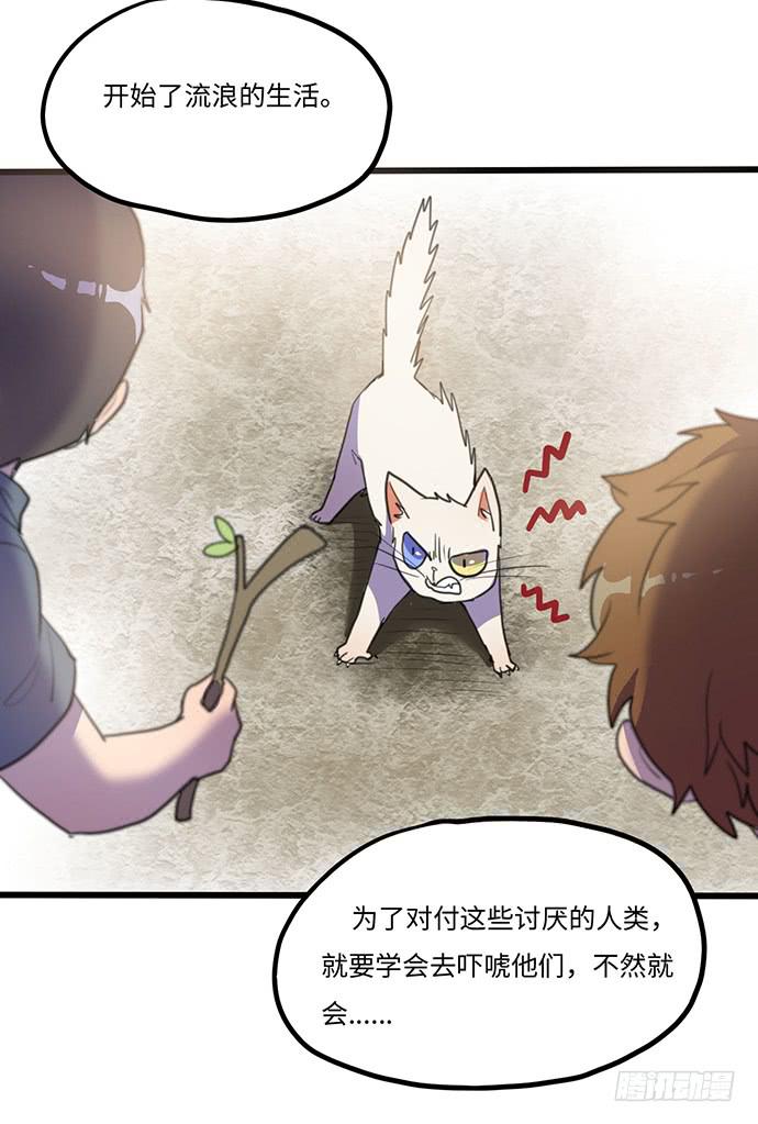《美少年的饲养法则》再次见面 第46页