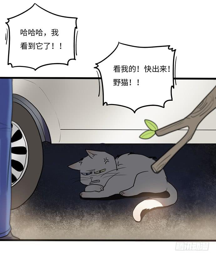 《美少年的饲养法则》再次见面 第47页