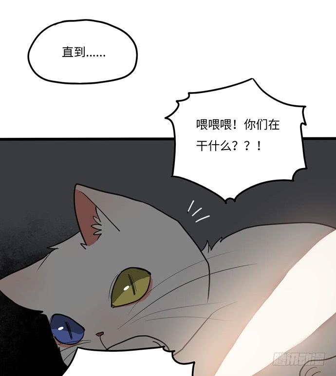 《美少年的饲养法则》再次见面 第48页