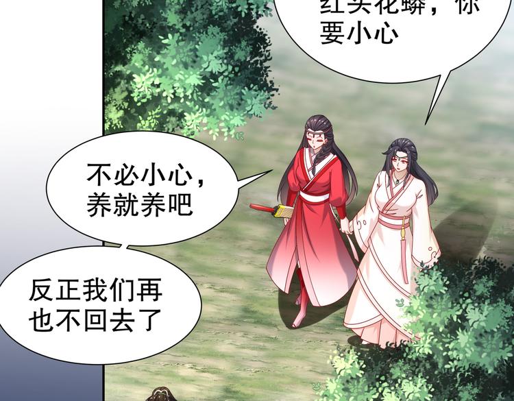 《孤若玄迟》女侠本侠 第11页
