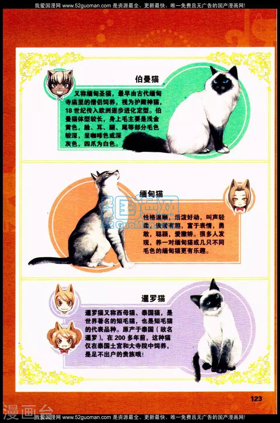 《左边左边》左左的猫咪课堂2 第2页