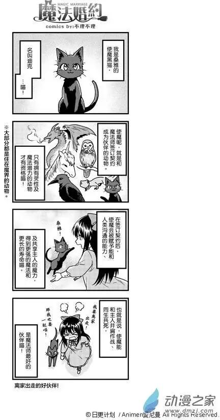《魔法婚约》第02回 第37页