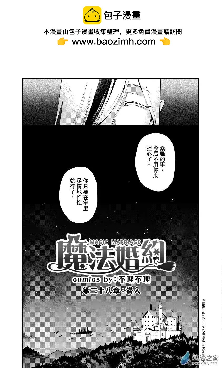 《魔法婚约》第28回a 第3页