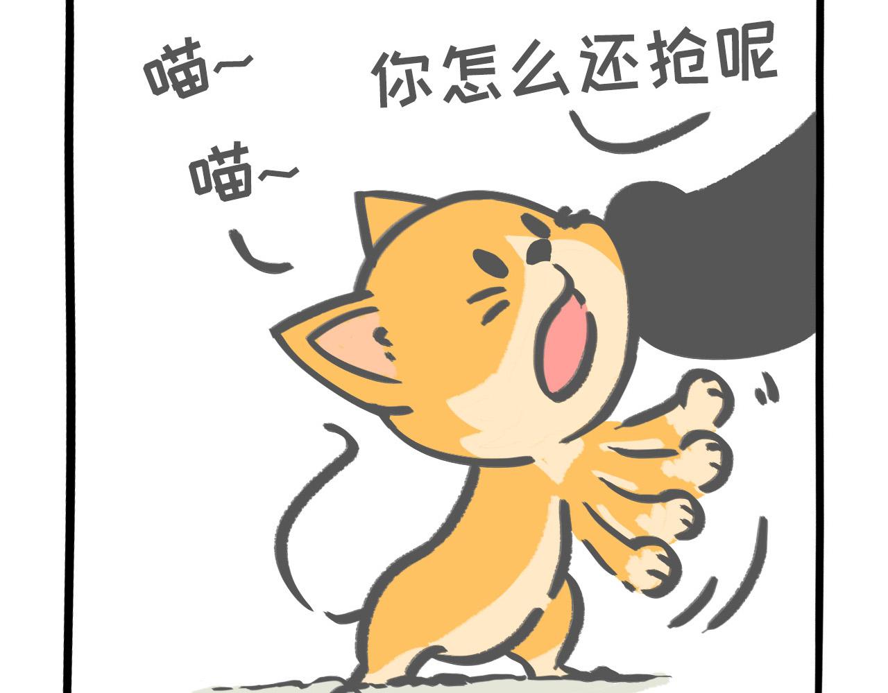 《熊猫观观的萌乐园》005 熊猫大仙法力无边 第14页