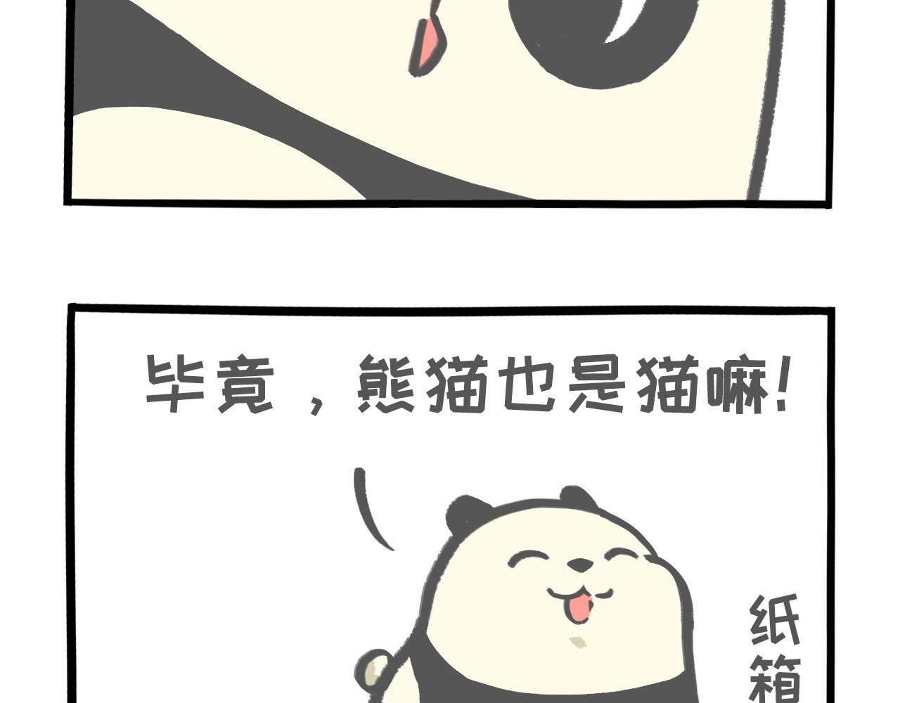 《熊猫观观的萌乐园》005 熊猫大仙法力无边 第16页