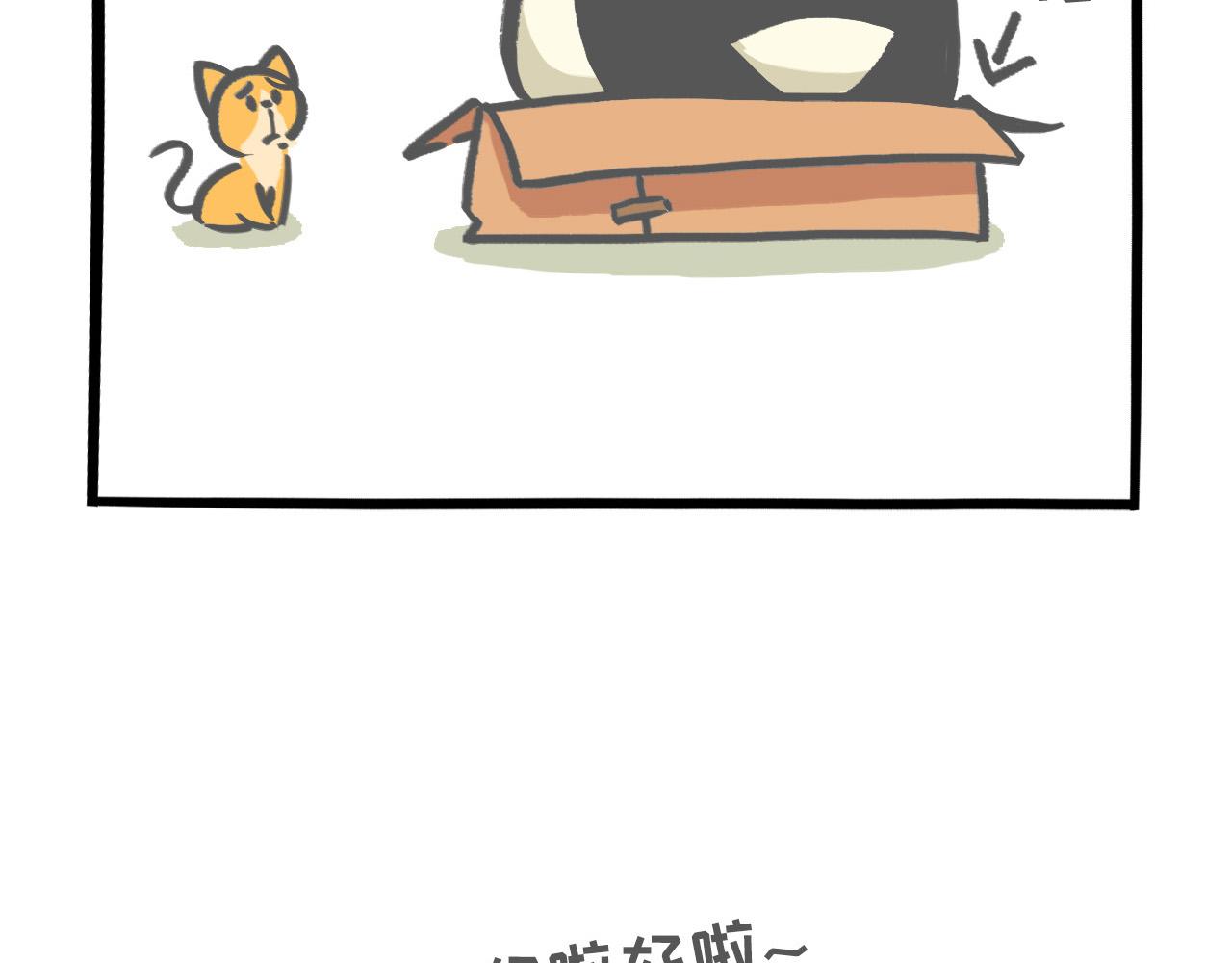 《熊猫观观的萌乐园》005 熊猫大仙法力无边 第17页