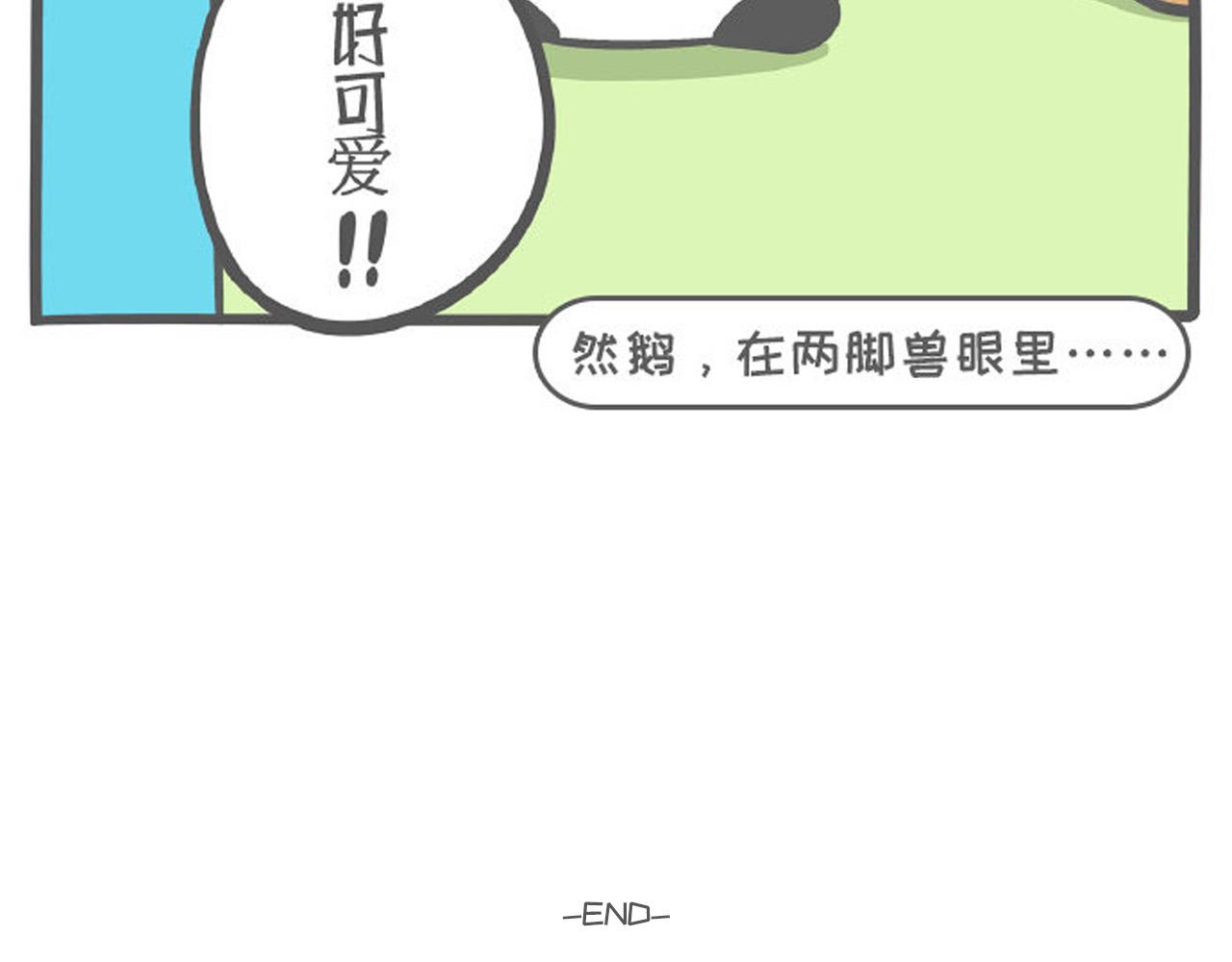 《熊猫观观的萌乐园》001 想我堂堂熊猫一族 第6页