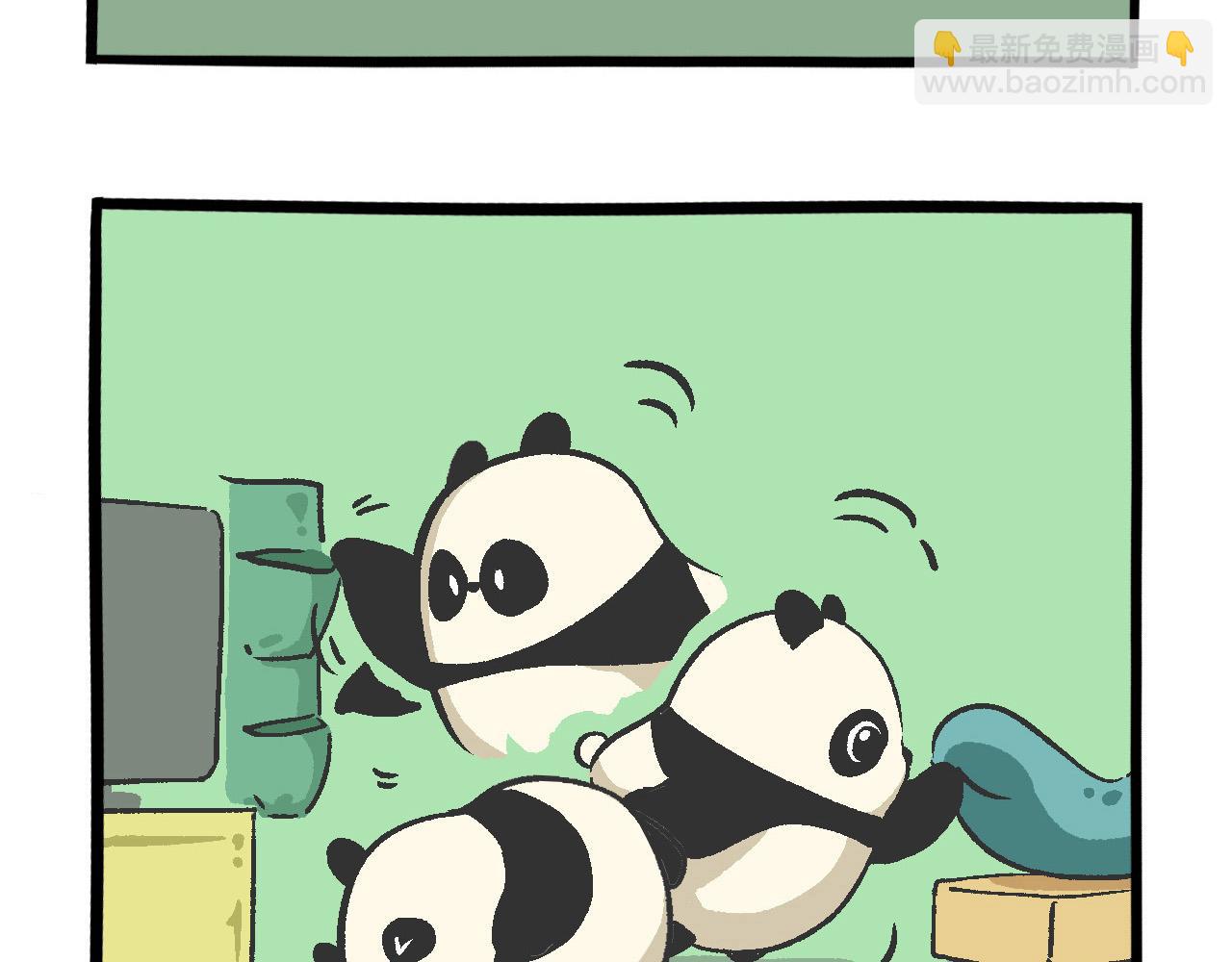 《熊猫观观的萌乐园》018 开学啦！！ 第13页