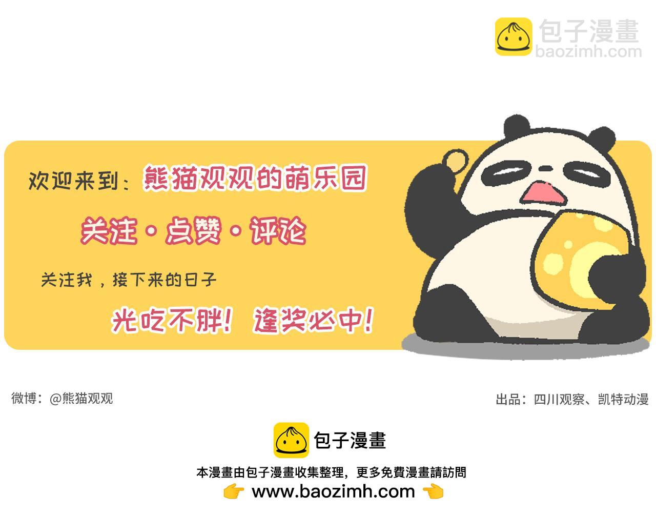 《熊猫观观的萌乐园》026 duang*3 第19页