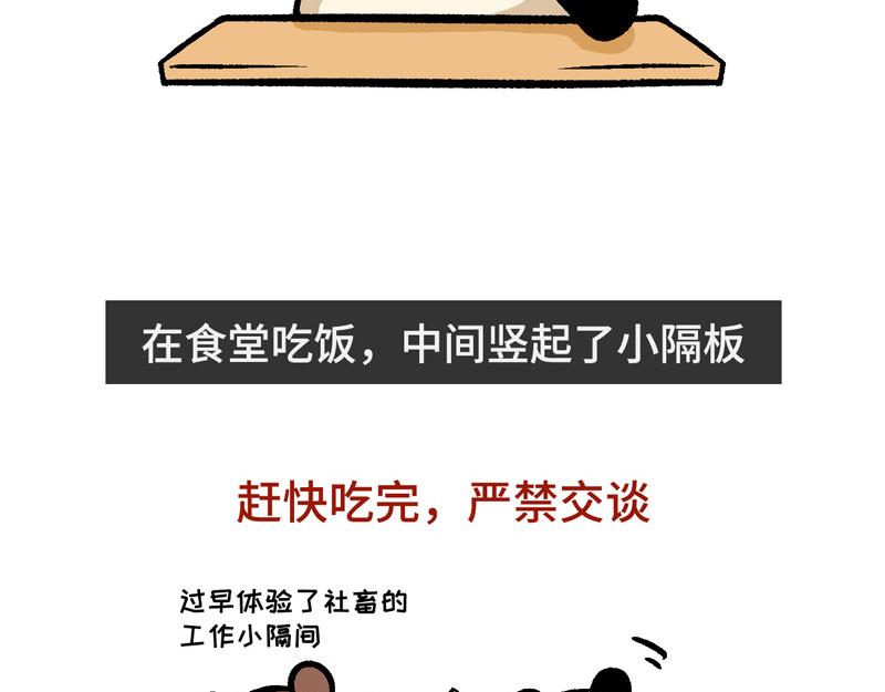 《熊猫观观的萌乐园》025 史上最长的寒假 第22页