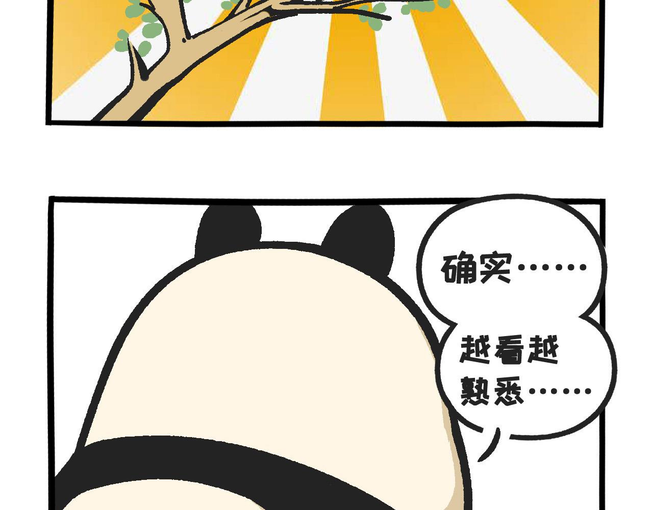 《熊猫观观的萌乐园》034 感觉屁股凉凉的 第5页