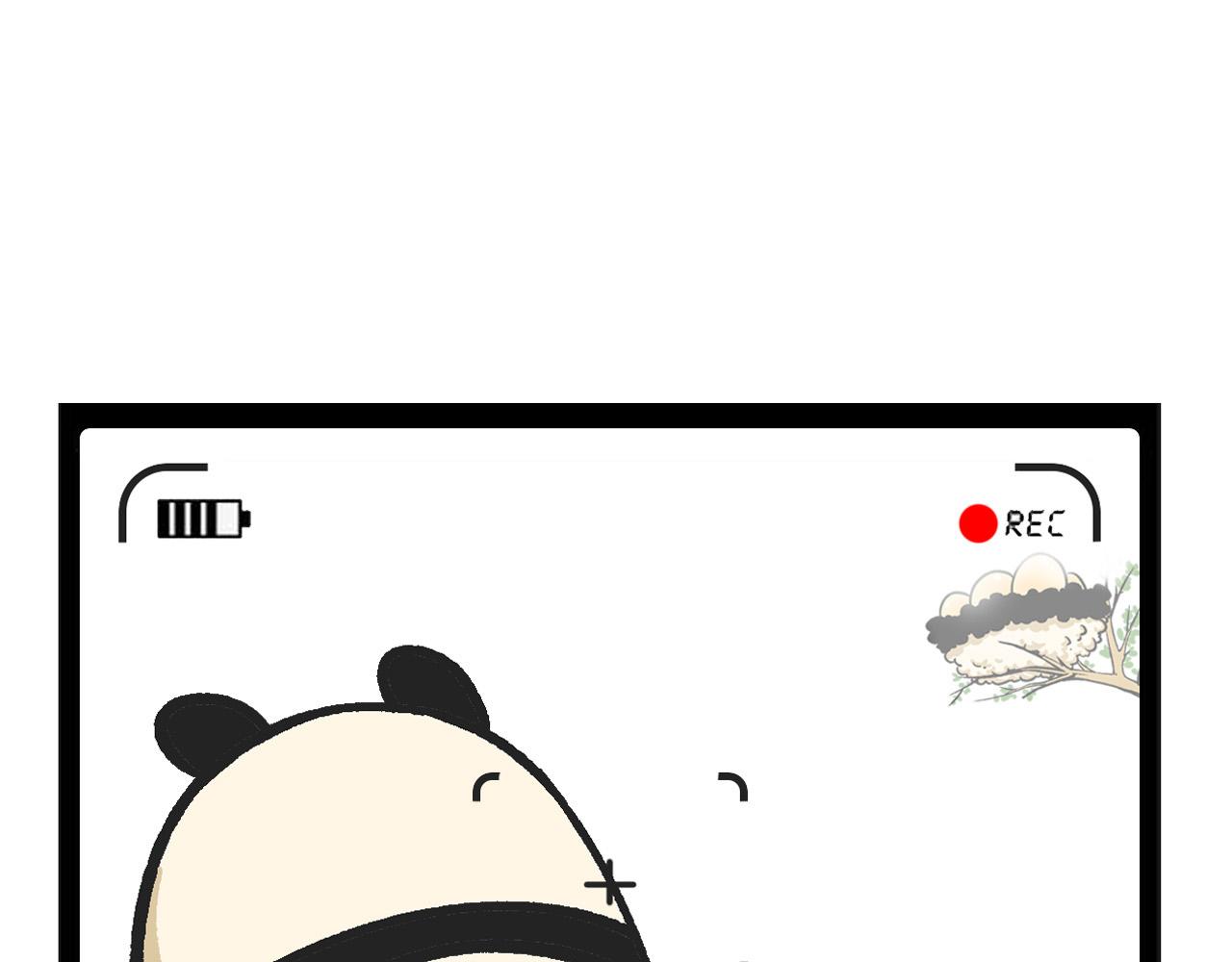 《熊猫观观的萌乐园》034 感觉屁股凉凉的 第7页