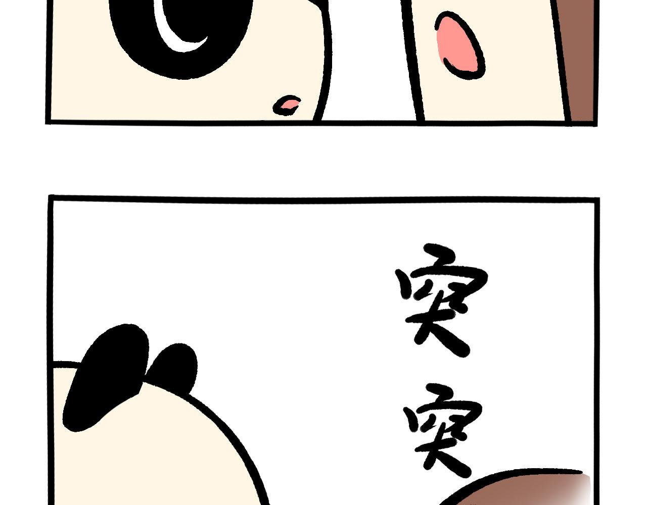 《熊猫观观的萌乐园》048 重大变化 第12页
