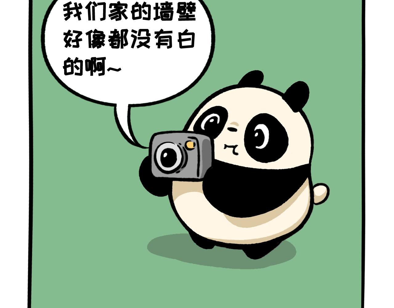 《熊猫观观的萌乐园》063 橘外人 第10页