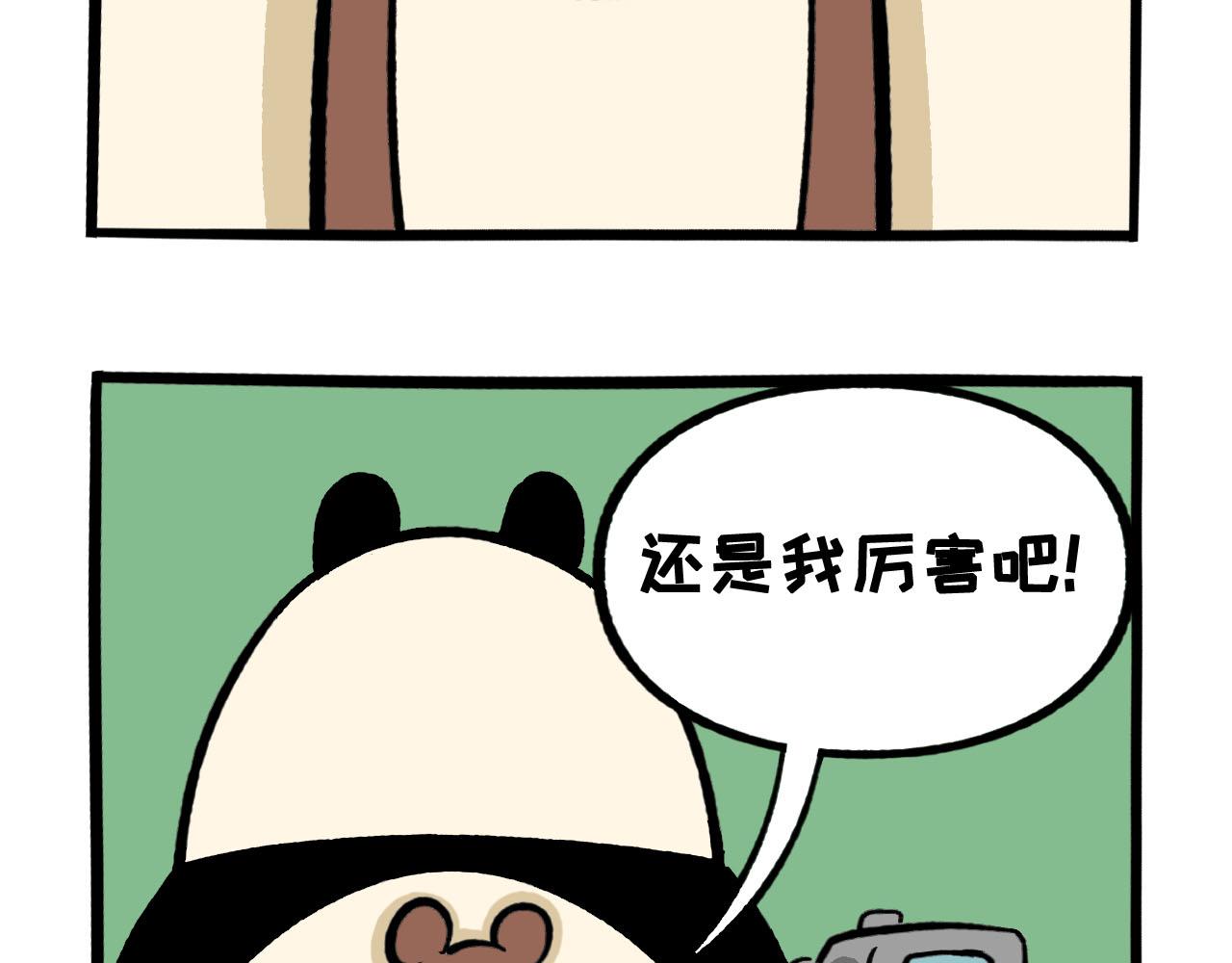 《熊猫观观的萌乐园》063 橘外人 第12页