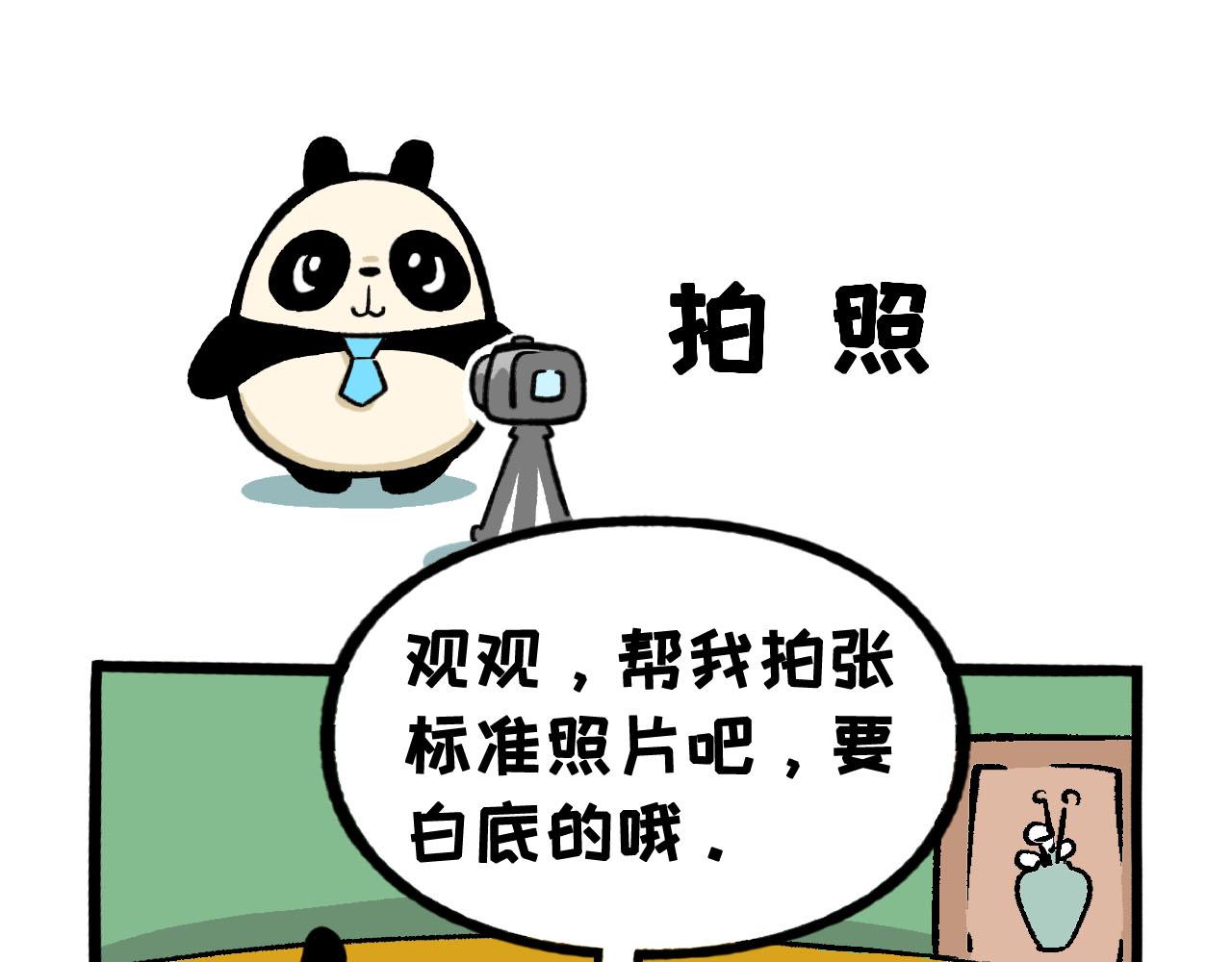 《熊猫观观的萌乐园》063 橘外人 第8页