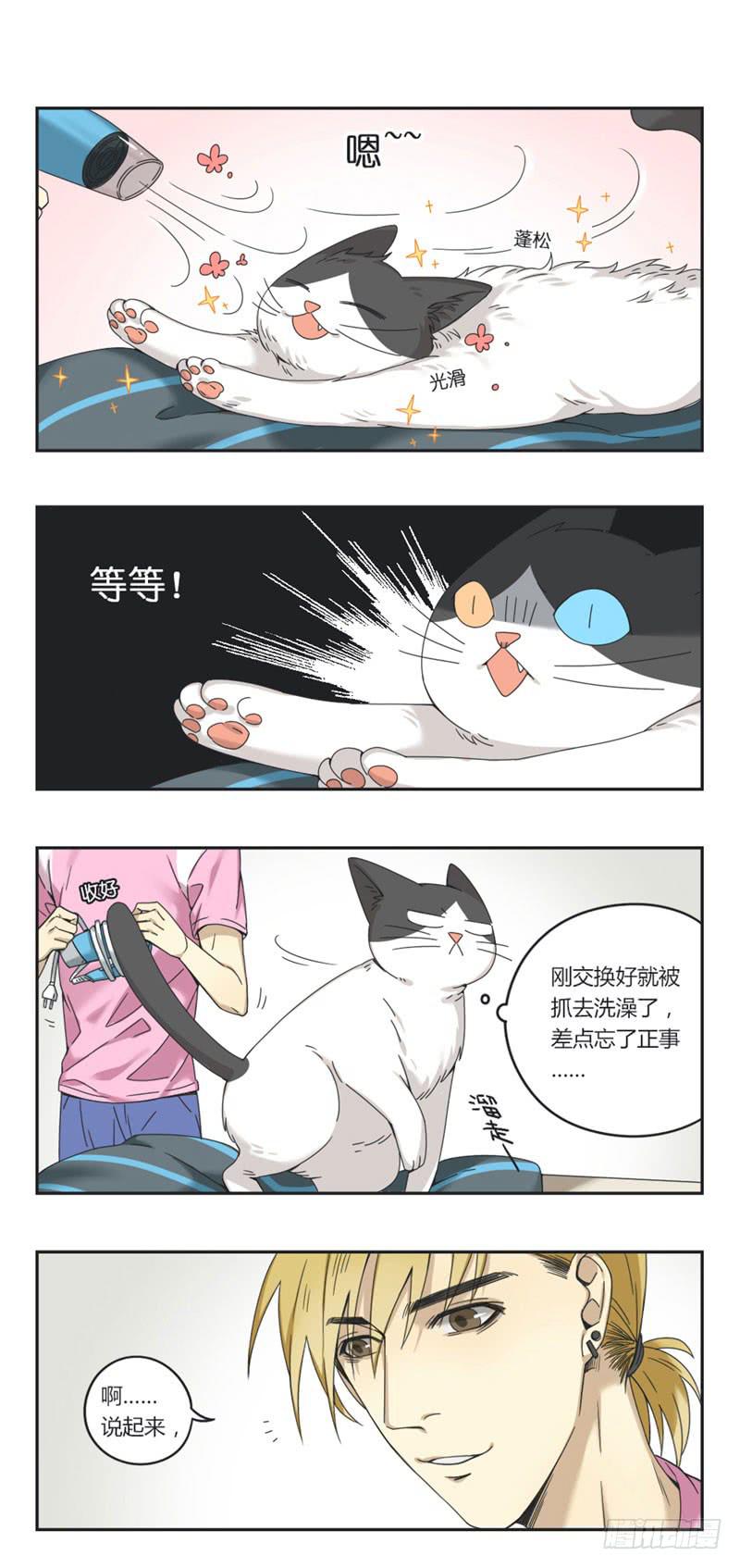 《身份转移》10 第7页