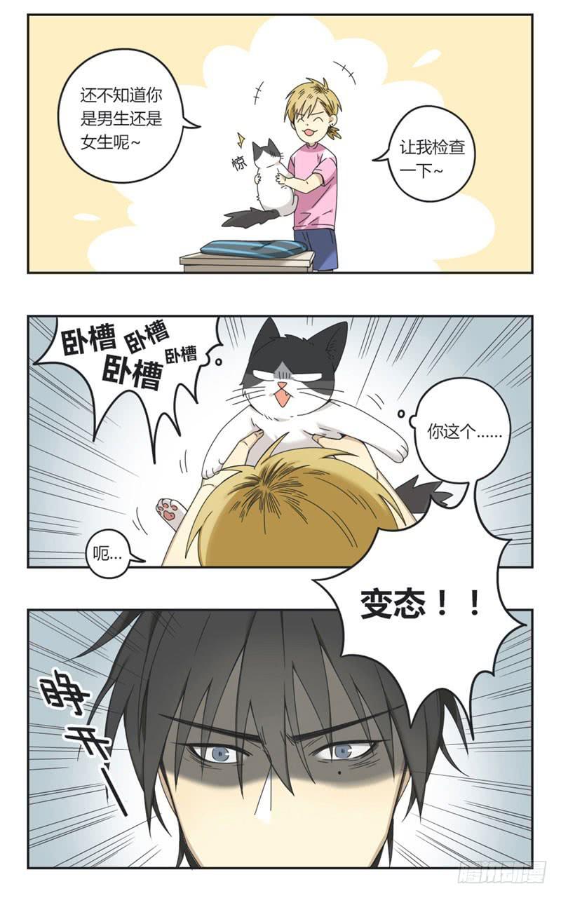 《身份转移》10 第8页