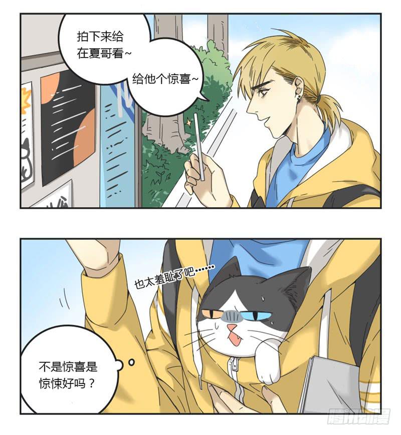 《身份转移》11 第4页
