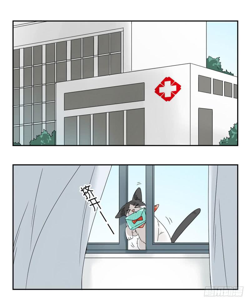 《身份转移》27 第3页