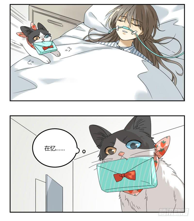 《身份转移》27 第4页
