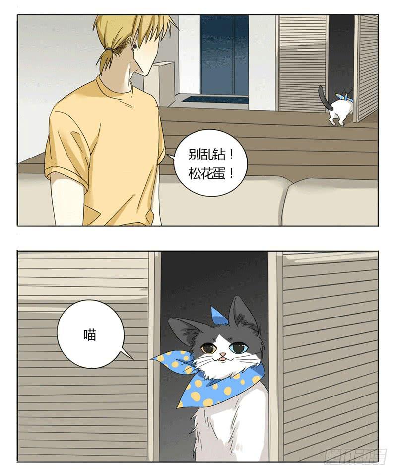 《身份转移》28 第8页