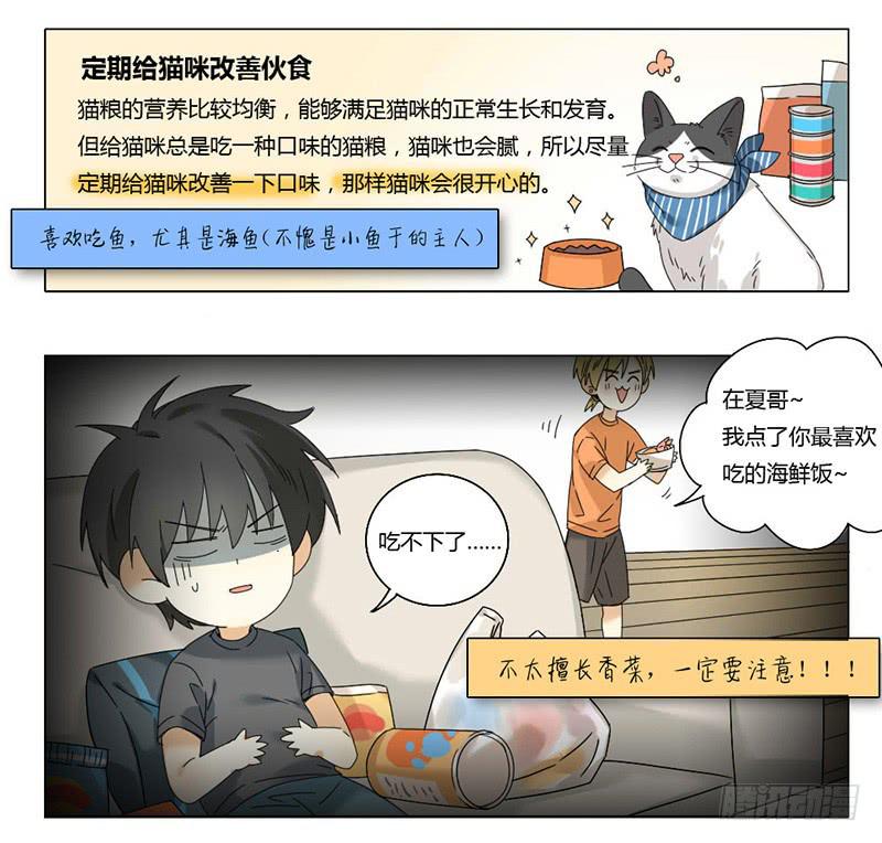 《身份转移》第42话 第4页