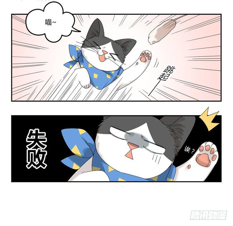 《身份转移》第45话 第6页