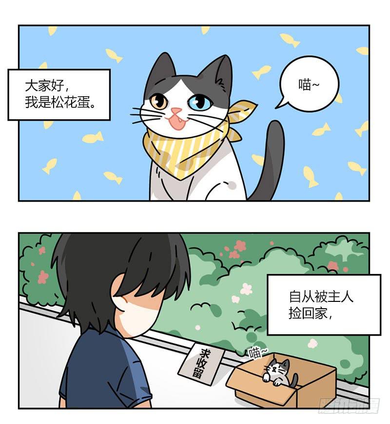 《身份转移》第57话 松花蛋日记（1） 第2页