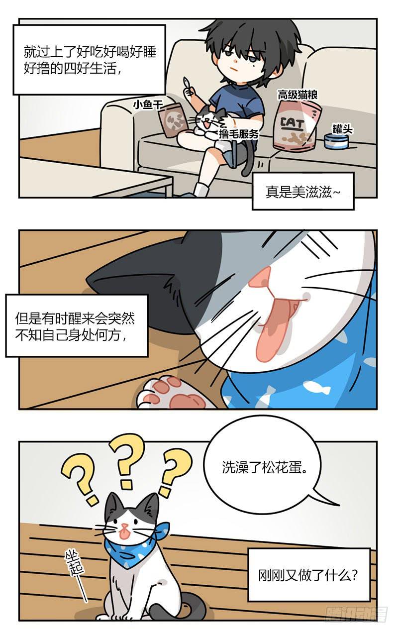 《身份转移》第57话 松花蛋日记（1） 第3页