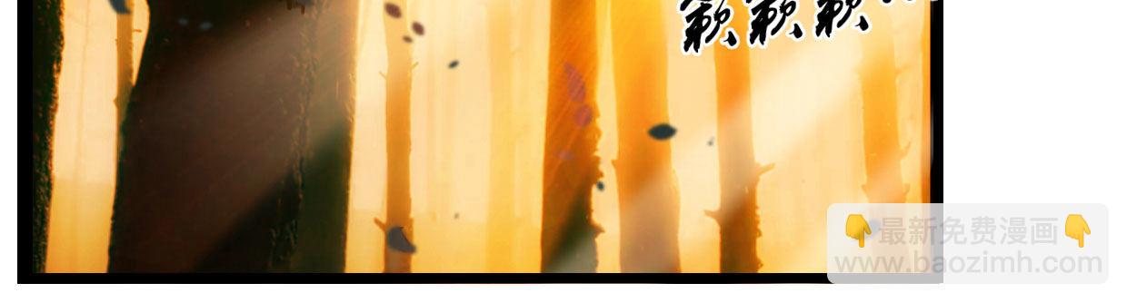 《兽心狂侠》白指猞猁 第15页