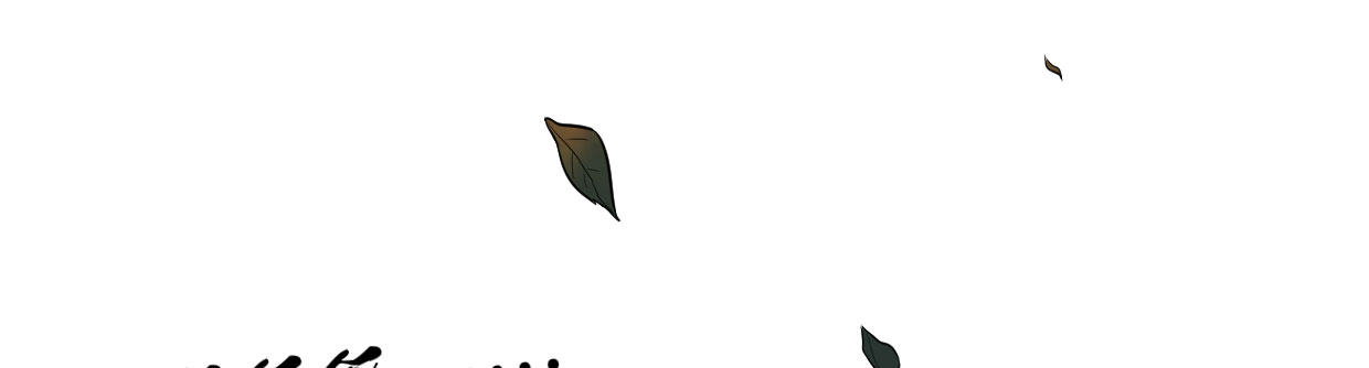 《兽心狂侠》白指猞猁 第16页