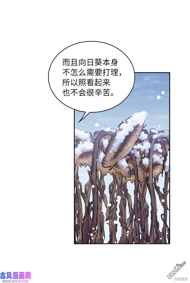 《施登的公主》第42话 第41页