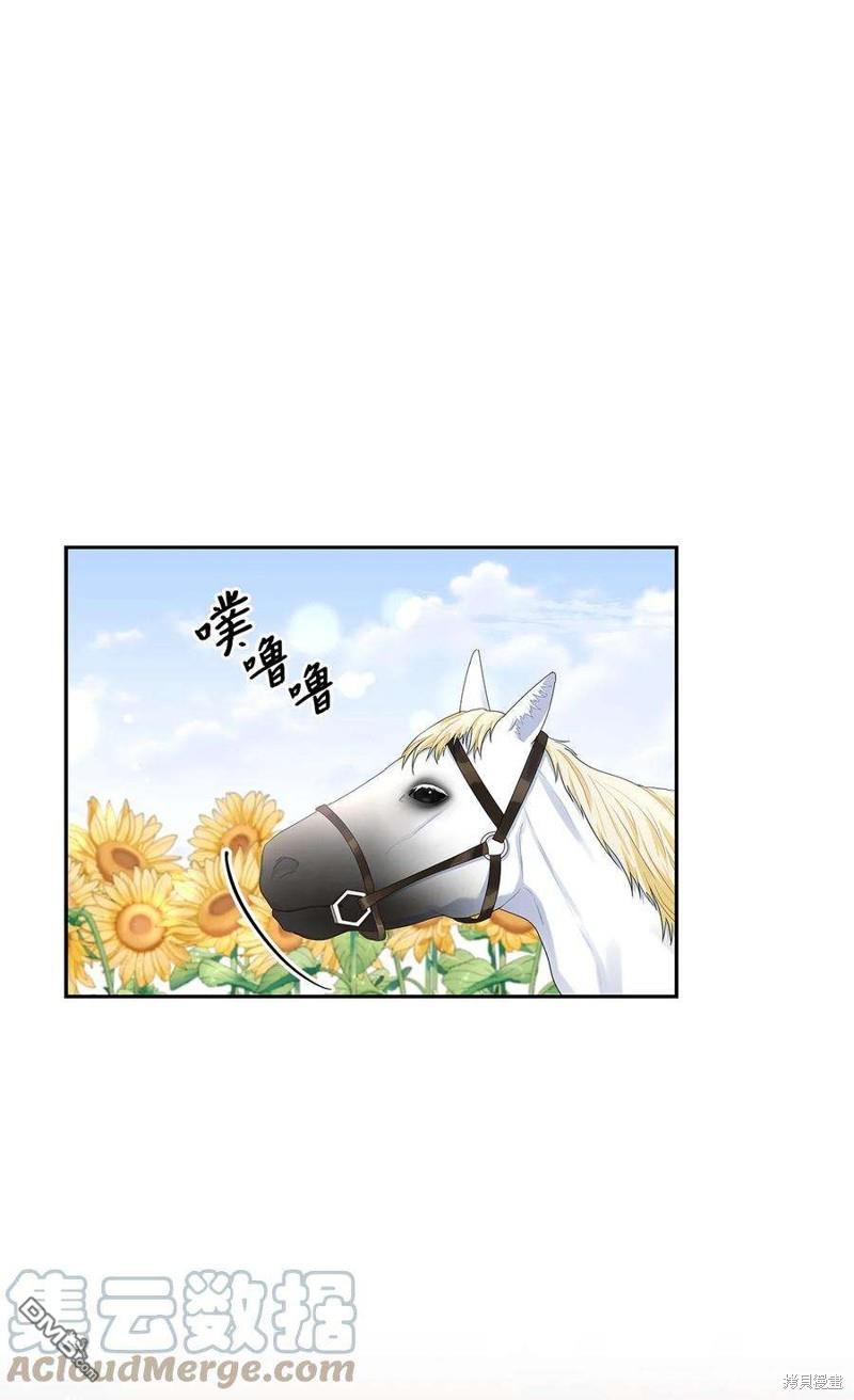 《施登的公主》第48话 第27页