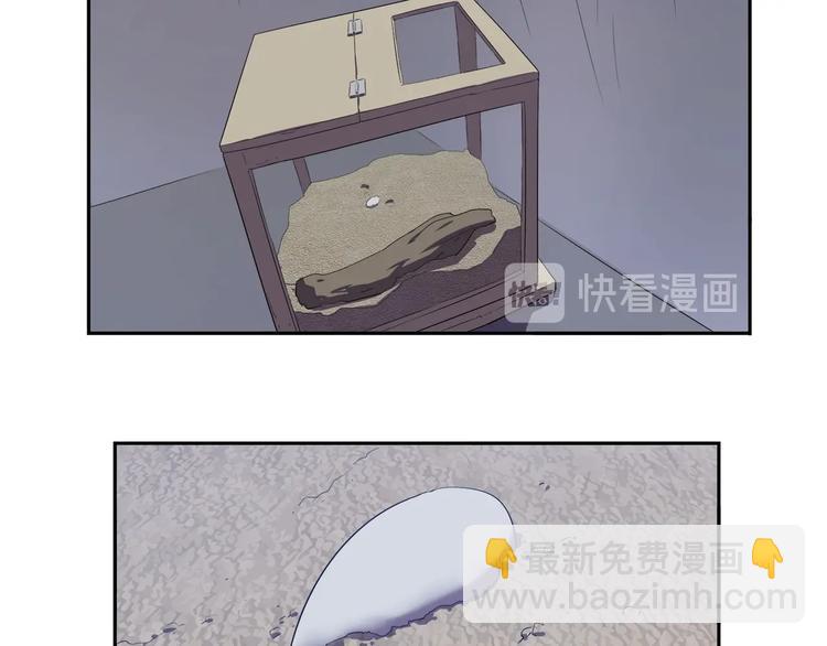 《我，5厘米》番外 “烤肉”历险记 第11页